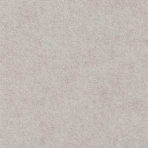 KP05 Light Camel