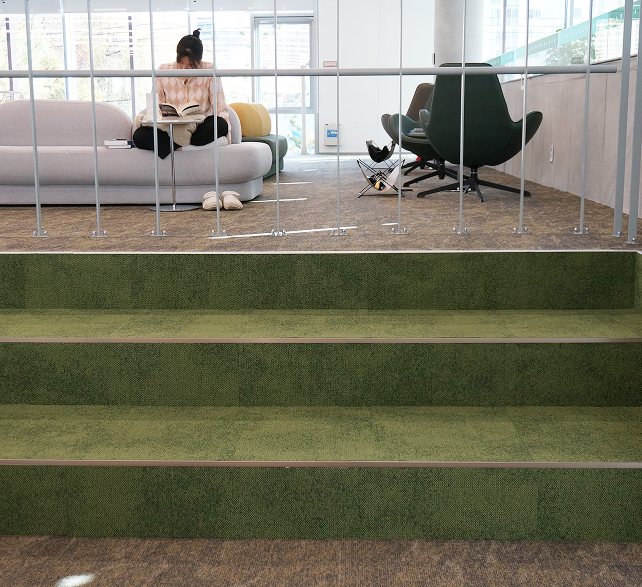 Anker carpet